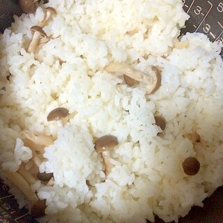 きのこ御飯